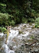 5.29.06 Siouxon Creek 005 